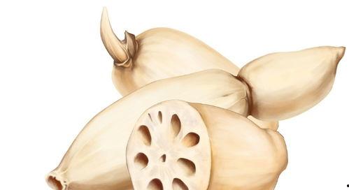 二宝吃瓜的模式,揭秘娱乐圈幕后风云