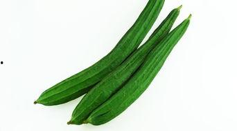 河北警院吃瓜,揭秘校园里的“瓜田”风云