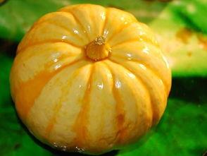 佛寿瓜怎样吃,探索健康美味的新选择