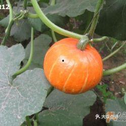 满城区最新吃瓜,揭秘本地热辣话题