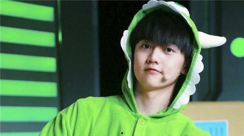 焉栩嘉粉丝吃瓜,揭秘娱乐圈背后的“吃瓜”风云