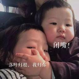 吃瓜吃什么瓜的土味情话,揭秘“吃瓜吃什么瓜”的甜蜜秘密