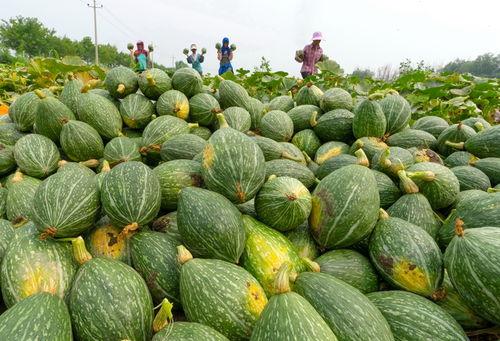 重磅吃瓜河北唐山,揭秘河北唐山背后的惊人真相