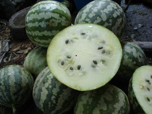 黄河甜蜜瓜怎么吃,多味食法,尽享夏日清新