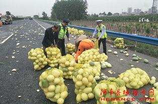 睢宁吃瓜群众,揭秘当地热点事件背后的故事