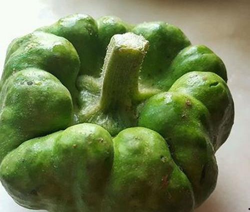 饼干吃瓜,美味新体验