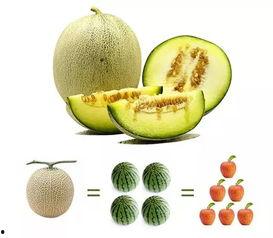 瓜哥吃瓜冰淇淋,吃瓜冰淇淋新潮流