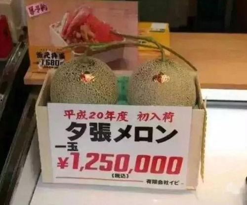 吃瓜群众吃饮料,吃瓜群众畅享清凉饮品新风尚