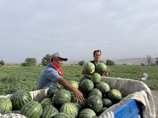 鹏飞吃瓜,揭秘娱乐圈幕后故事