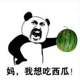 吃瓜吃都吃不完的说说,吃瓜吃到停不下来的欢乐时光