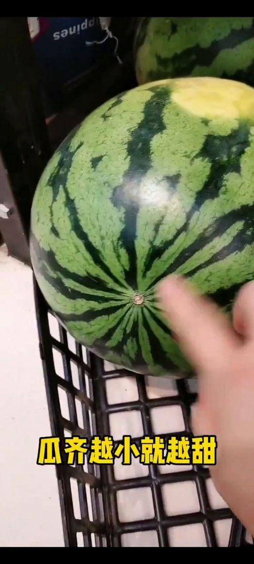 又到吃瓜季节了,又到全民“吃瓜”狂欢季