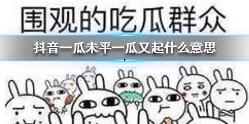 抖音吃瓜王者,揭秘热门事件背后的真相