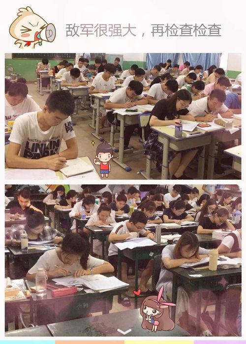 暑假班吃瓜视频,揭秘校园里的欢乐时光