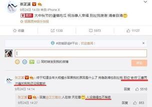 吃瓜世子妃,宫廷风云中的甜蜜瓜田