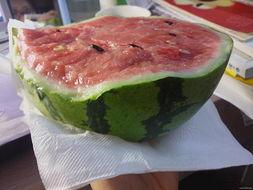 吃瓜也要有味道,尽享生活百味