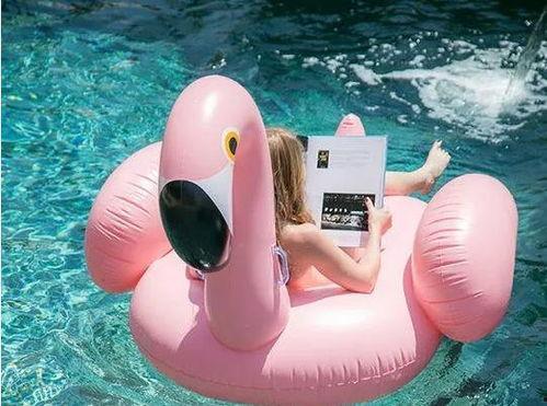 火烈鸟吃瓜,探索它们对瓜果的喜爱