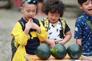 吃瓜育娃,趣味育儿生活点滴